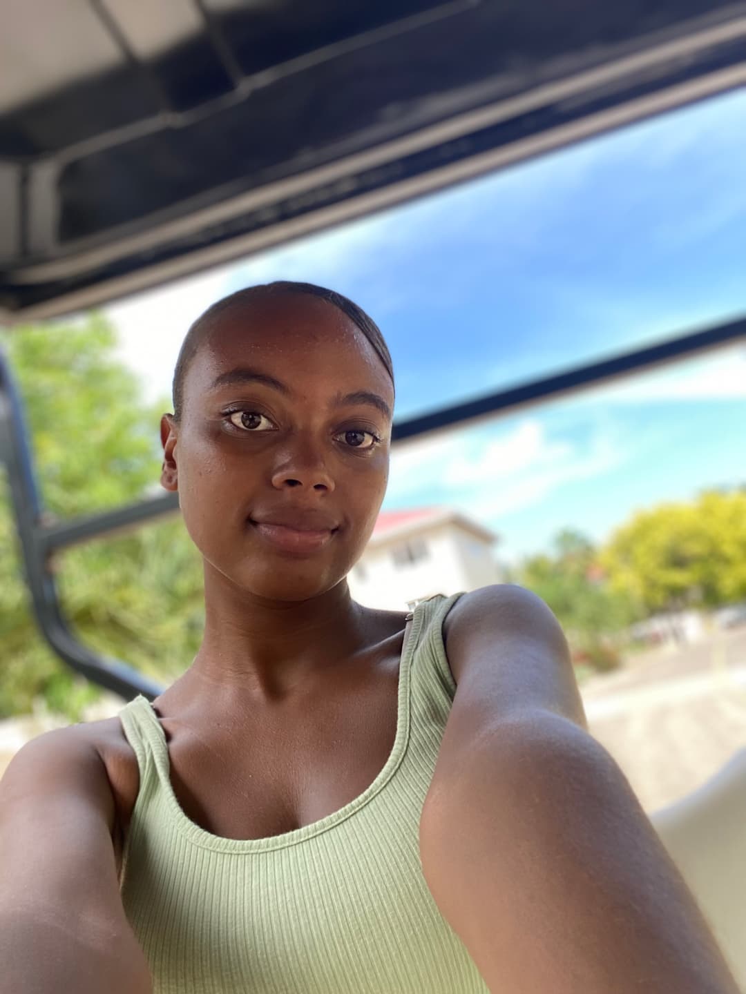 Descriptive Alt Text